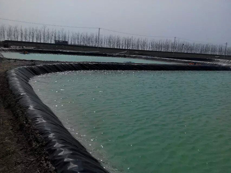 磷肥在水产养殖中可以起到怎样的作用