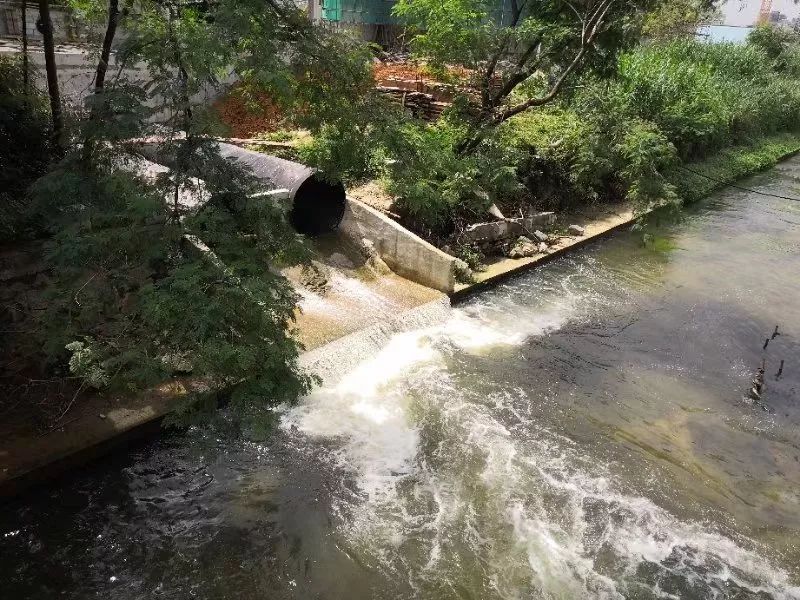 水中的污泥浓度对养殖有怎样的影响