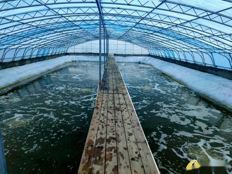 水质中的生物毒性怎么检测