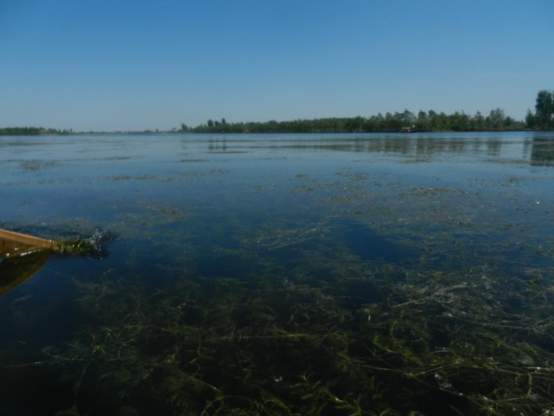 手持水质检测仪检测速度快、现场读取数据